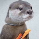 stolenpostcard avatar