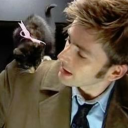 stolensheeper avatar