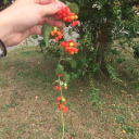 stomachhhh999 avatar