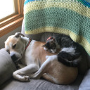 stone-opinions avatar