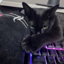 stonecolddead avatar