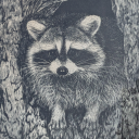 stonecoldsensitive avatar