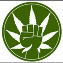 stoned45-blog avatar