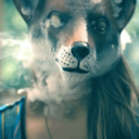 stonedfoxxxx avatar