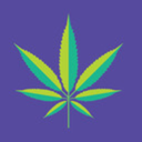 stonedhustlerslife avatar