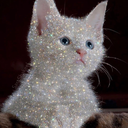 stonedkittyxx avatar