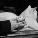 stonedlikegod666 avatar