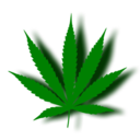 stonedmillionaire avatar