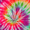 stonedpenguin-blog avatar