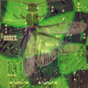 stonefly-with-a-pen avatar