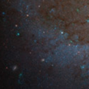 stonelionhearts avatar