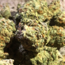 stonerboy93 avatar