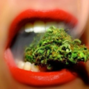 stonerclub-blog avatar