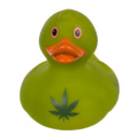 stonerducky avatar