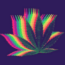 stonerismnshiz avatar