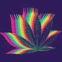 stonerland-coffeandcigarettes avatar