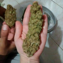 stonerlifestories avatar