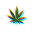 stoners-boner avatar