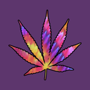 stoners-dream avatar