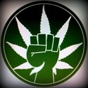 stoners-love-art-man avatar