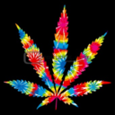 stonersfavorite avatar