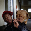 stoodintheheadlights avatar