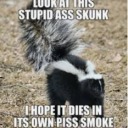 stoopidskunk avatar
