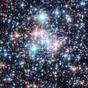 stoopieracoon avatar