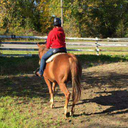 stopandwonderr avatar