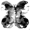 stopfollowingmeplz avatar