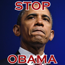 stopkingobama avatar