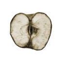 stopsbeatiingg avatar