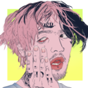 stoptrynabelikeus avatar