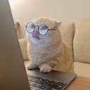 storehousedesy avatar