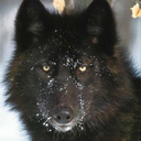 stories-n-things avatar