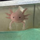 storiesbyscot avatar