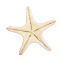 storiesfromtheobx avatar