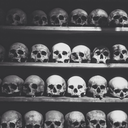 storiesillnevertell avatar