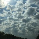 storiesnobodyreads avatar