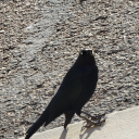 storiesnotyetwritten avatar