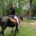 storiesrarelytold avatar