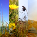 storiesthatstayed avatar