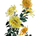 storiestotell avatar