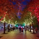 storm--of--chaos avatar