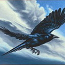storm-crow-apologist avatar