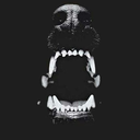 storm-trccper avatar