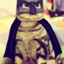 stormaggedoen-blog avatar