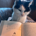 stormblessed7 avatar