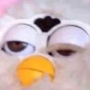 stormbornvegan avatar