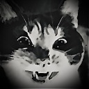 stormcats avatar